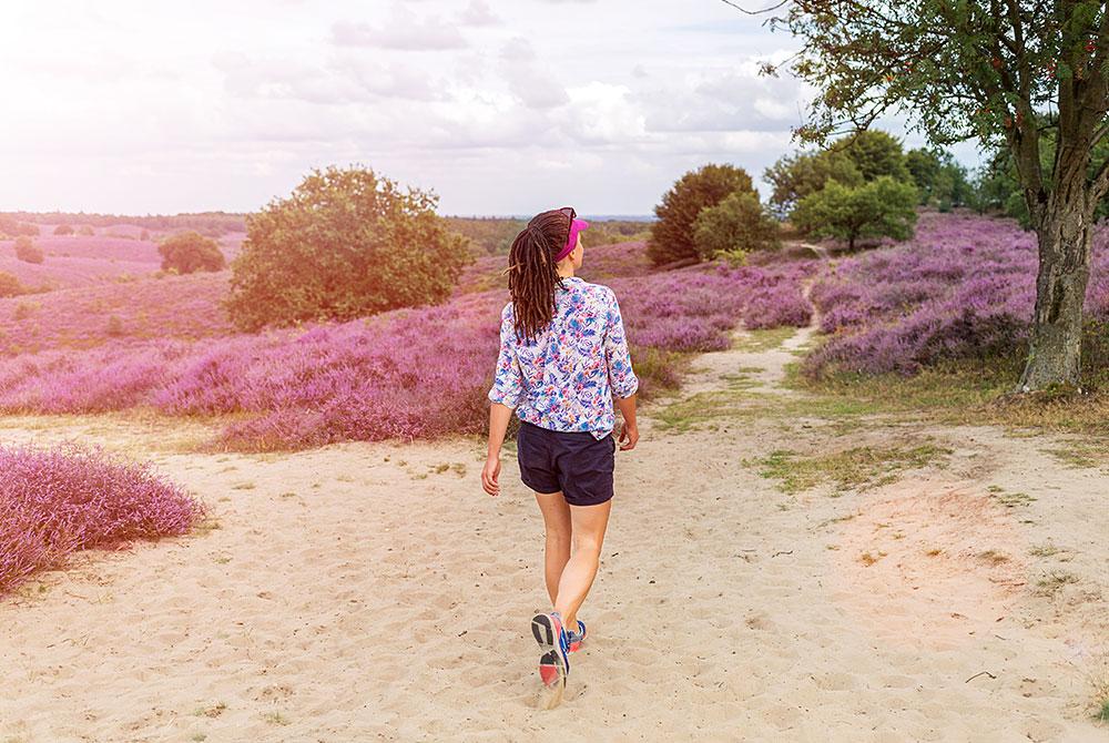 De 10 mooiste wandelroutes in Nederland 