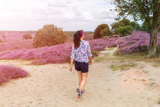 De 10 mooiste wandelroutes in Nederland 