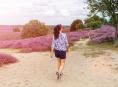 De 10 mooiste wandelroutes in Nederland 