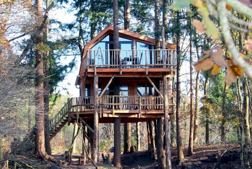 Boomhut overnachting in Nederland? 17x tips om te slapen in een boomhut!