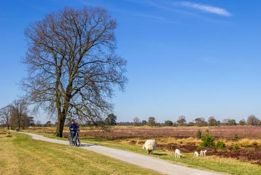 Fietsen in Drenthe: 5x leuke fietsroutes & tips voor onderweg
