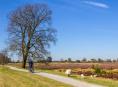 Fietsen in Drenthe: 5x leuke fietsroutes & tips voor onderweg