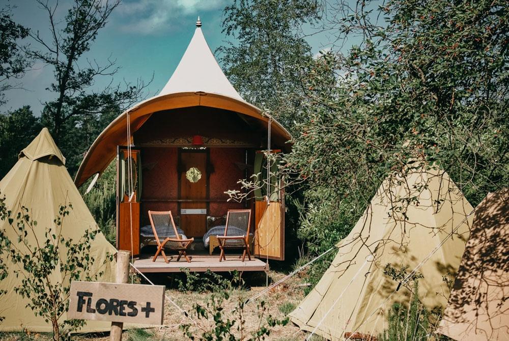 Roompot opent deze zomer 5 nieuwe pop-up glampings