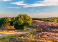 De ultieme roadtrip over de Veluwe langs de mooiste natuur en plekken