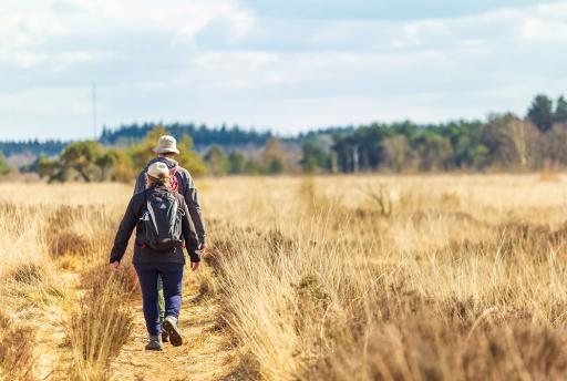 De mooiste wandelgebieden van Nederland