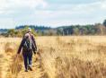 De mooiste wandelgebieden van Nederland