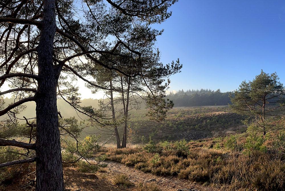 7x tips om te doen in Nationaal Park Sallandse Heuvelrug