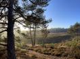 7x tips om te doen in Nationaal Park Sallandse Heuvelrug