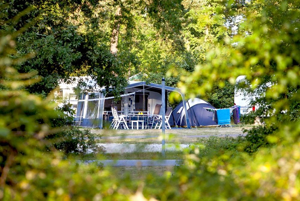 De 25 leukste campings van Nederland