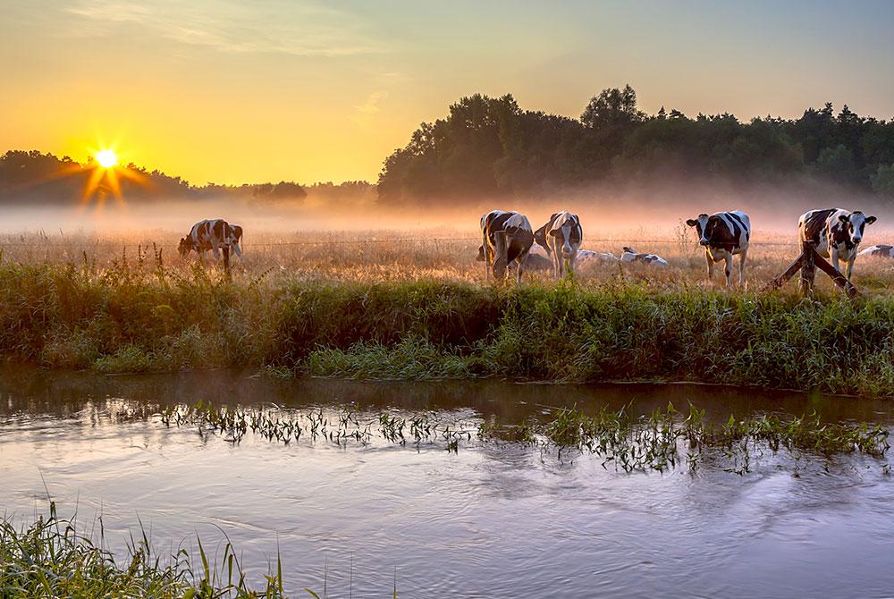Twente: 10x De Mooiste Bezienswaardigheden