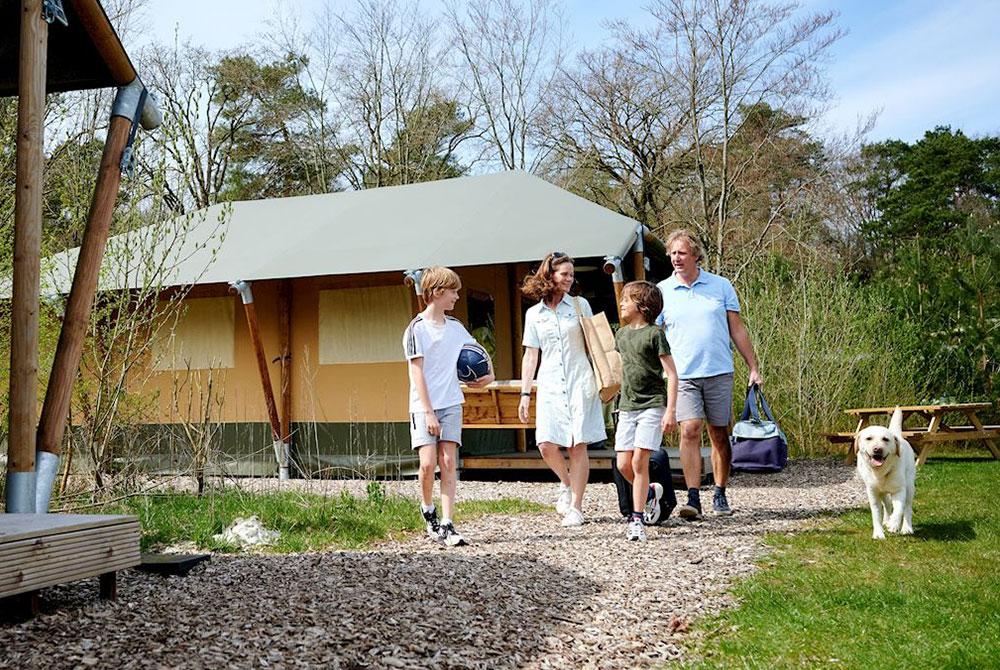 Landal Glamping Neufchâteau: nieuwe luxe camping van Landal in de Ardennen