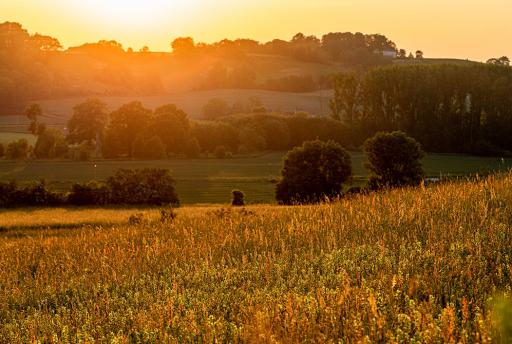 Wandelen in Zuid-Limburg: 7x de mooiste wandelroutes