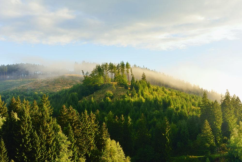 13x De mooiste plekken & bezienswaardigheden in de Harz
