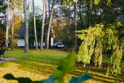 Review: RCN het Grote Bos
