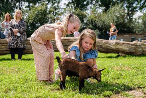15x De leukste kinderuitjes van Overijssel