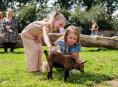 15x De leukste kinderuitjes van Overijssel