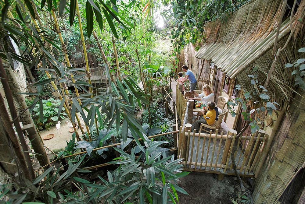 De Jungle Cabana op Center Parcs Het Heijderbos: GAAF!