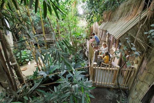 De Jungle Cabana op Center Parcs Het Heijderbos: GAAF!