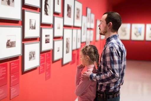 36x de leukste musea van Nederland