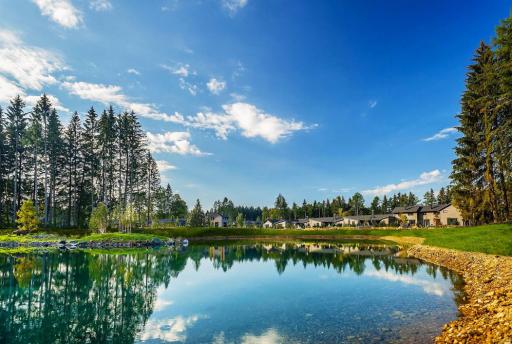 Vakantiepark in het Zwarte Woud → 8x Top parken + Onze tips!
