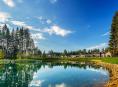 Vakantiepark in het Zwarte Woud → 8x Top parken + Onze tips!