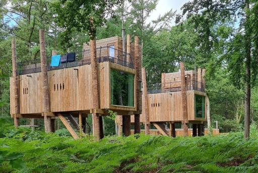Landal Forest Resort Your Nature: Magnifiek luxe resort in de natuur van Wallonië (VIDEO)