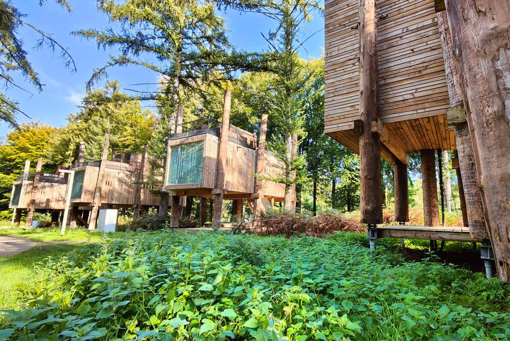 Review: Landal Forest Resort Your Nature