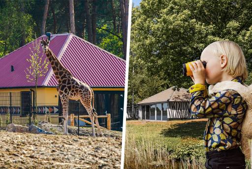 Lake Resort Beekse Bergen of Safari Resort Beekse Bergen: Welk park kiezen?