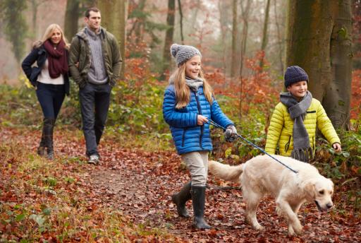 7 vakantiepark-tips voor jouw herfstvakantie → Deze parken zijn top in de herfst!