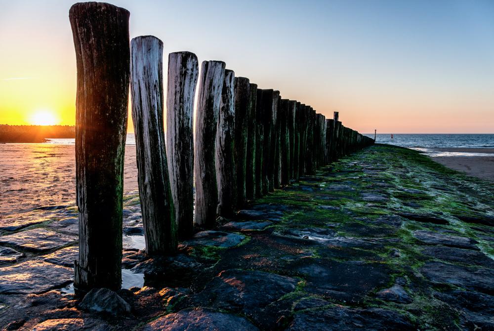 7 redenen voor een vakantie in Cadzand