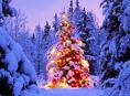 Bungalowparken populair tijdens de Kerstvakantie