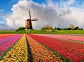 Nederlandse bungalowparken doen het goed bij Belgen