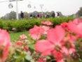 Center Parcs en Middeleeuwse Floriade