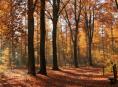 Herfst Deals bij Roompot Vakanties