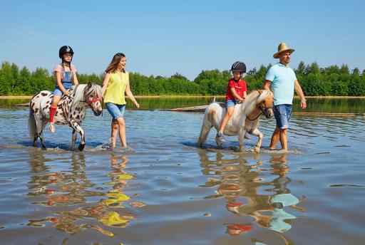 Een parkvakantie in PonyparkCity 