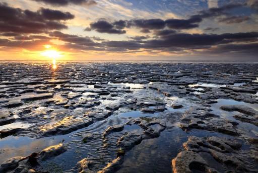 De Wadden verkozen tot mooiste natuurgebied van Nederland
