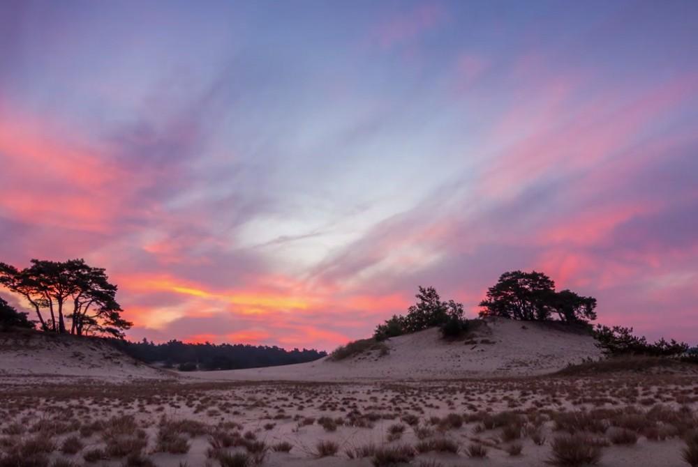 Dit filmpje van de Veluwe is schitterend