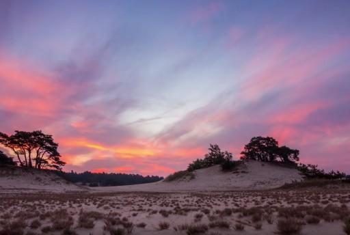 Dit filmpje van de Veluwe is schitterend