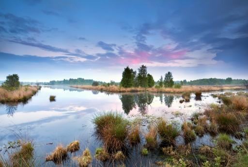 9 redenen waarom Drenthe jouw volgende vakantiebestemming wordt