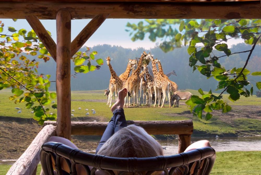 Wauw! Slaap tussen de wilde dieren in Safari Resort Beekse Bergen