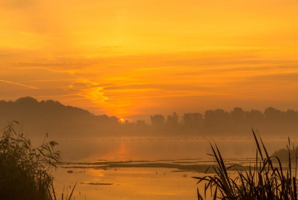 Nationaal Park De Biesbosch: Natuur én avontuur