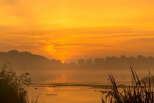 Nationaal Park De Biesbosch: Natuur én avontuur