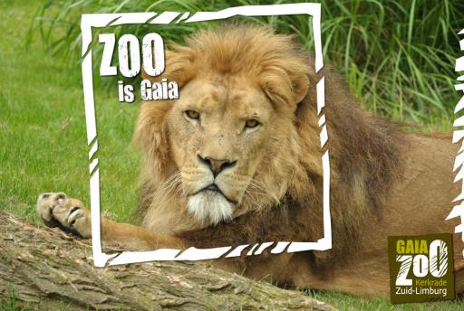 GaiaZOO verkozen tot 'Leukste Uitje van Nederland 2018'