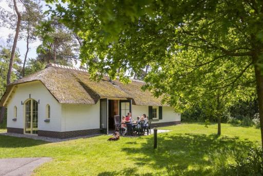 Dé 5 leukste vakantieparken in Twente