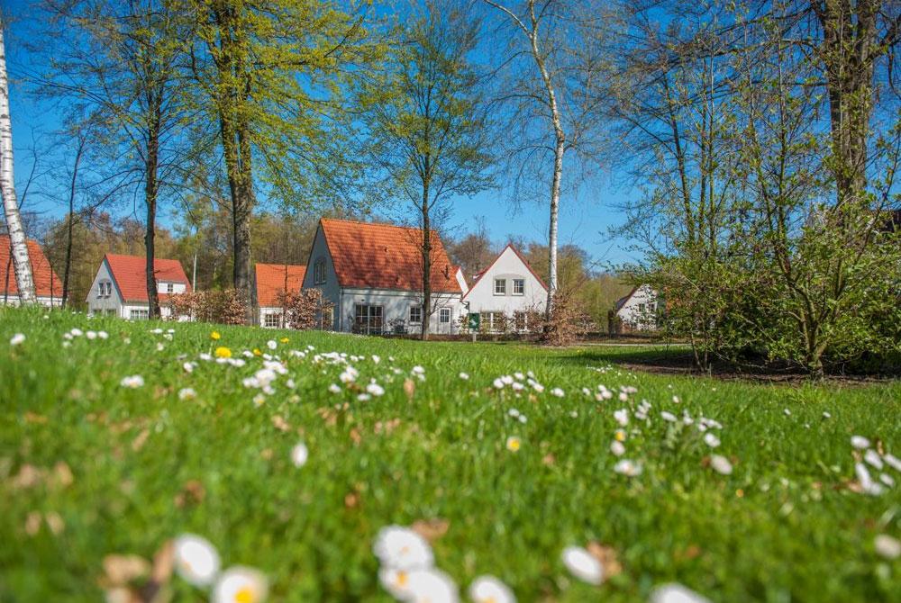 De 3 populairste Roompot vakantieparken