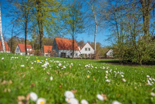 De 3 populairste Roompot vakantieparken