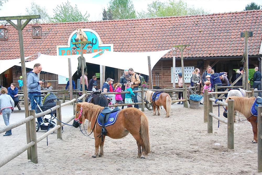 Activiteit: Paardrijden bij Landal Het Land van Bartje