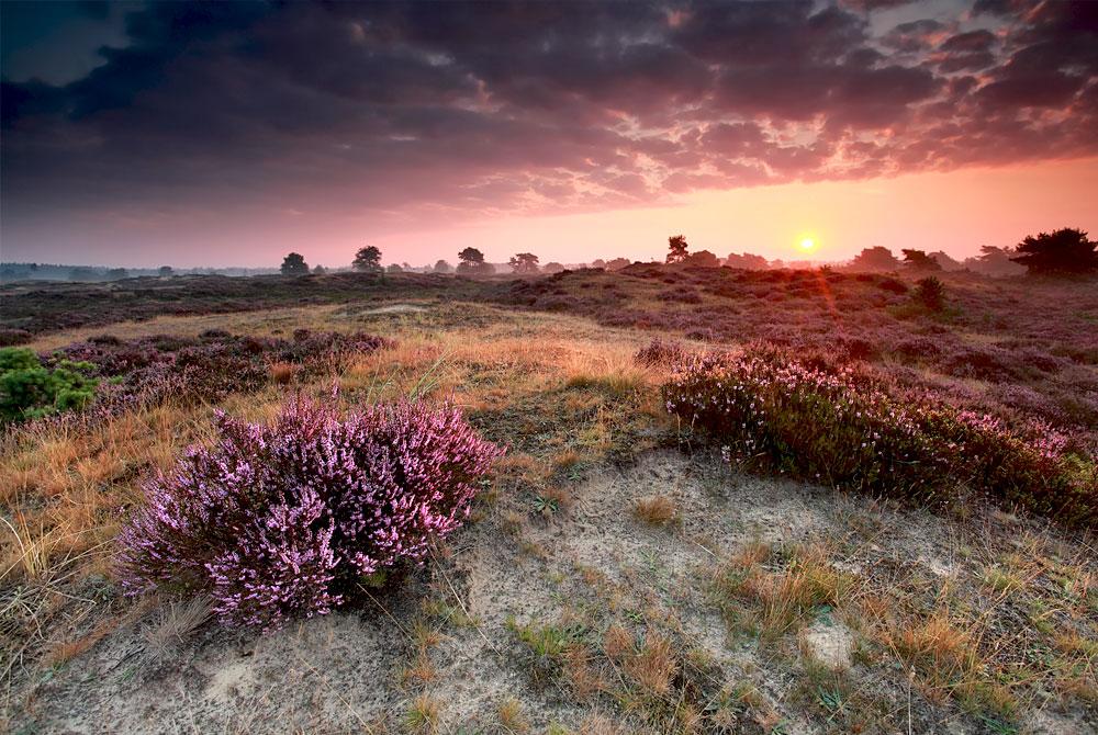 De 18 mooiste bezienswaardigheden van Drenthe