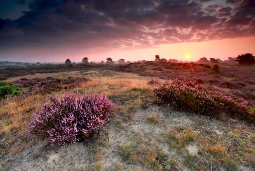 De 18 mooiste bezienswaardigheden van Drenthe