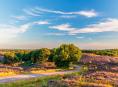 De 15 mooiste plekken van de Veluwe